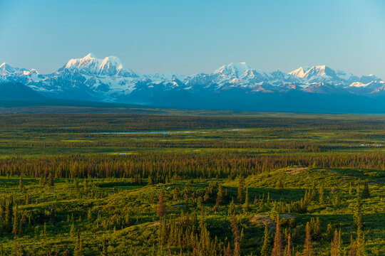 Stunning mountain range and lush green valley under a clear blue sky at sunrise. Denali Highway, Alaska