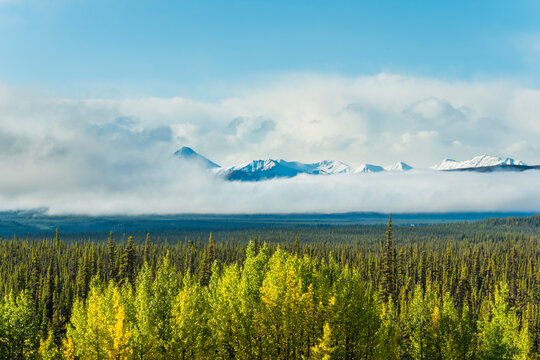 Snow-capped mountains and forest under clear blue sky with misty clouds. Alaska, USA