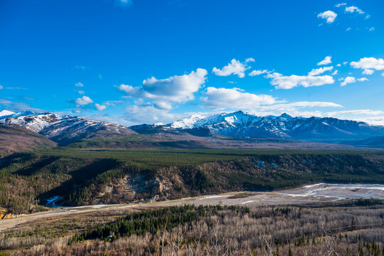 Snow-capped mountains under a vibrant blue sky and fluffy clouds, with a forested valley below. Healy, Alaska, USA