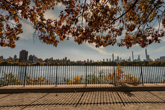 Autumn leaves frame a view of the city skyline across a serene lake under a sunny sky. Jacqueline Kennedy Onassis Reservoir, New York City, USA