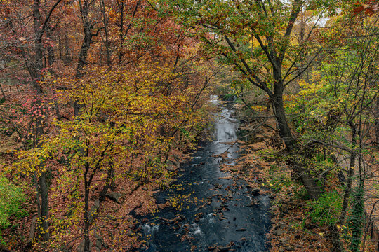 Aerial view of a vibrant autumn forest with a winding river running through it. Central Park, New York City, USA
