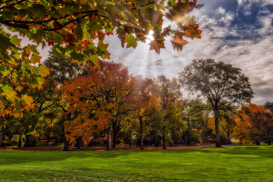 A lush park with colorful autumn trees under a partly cloudy sky and sunrays peeking through. Central Park, New York City, USA