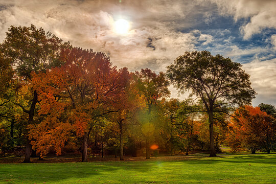 Sunlit autumn trees with vibrant foliage in a park under a partly cloudy sky. Central Park, New York City, USA