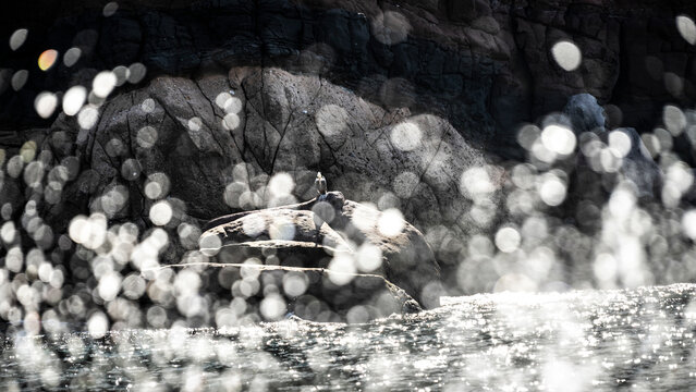 A person sits on large rocks with blurred ocean spray in the foreground, creating a dreamy effect. Todos Santos, Baja California, Mexico
