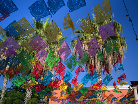 Colorful paper flags flutter against a clear blue sky with palm trees in the background. San Jose del Cabo, Baja California Sur, Mexico