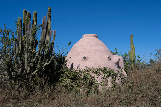 Pink adobe oven surrounded by tall cacti under a clear blue sky. Todos Santos, Baja California, Mexico