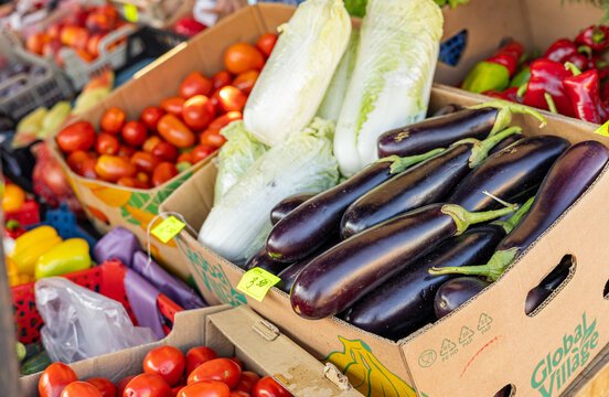 Top-down view of a heap of Brinjal egg fruit, aubergine, Solanum melongena for sale in a vegetable market. Overhead composition. Mandi market system in India. Farm laws.