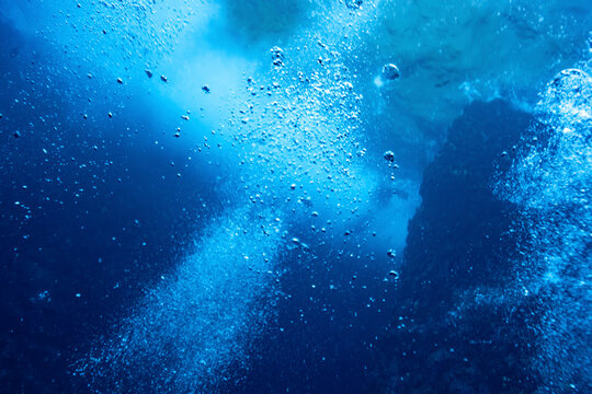 Bubbles of air rise in deep blue ocean water creating a serene underwater scene. La Paz, Baja California Sur, Mexico