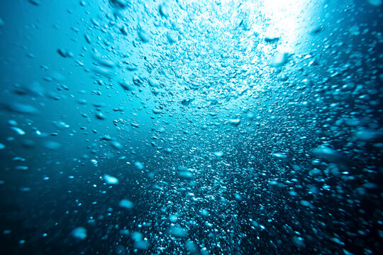 Underwater bubbles rise toward the surface in a deep blue ocean.  La Paz, Baja California Sur, Mexico