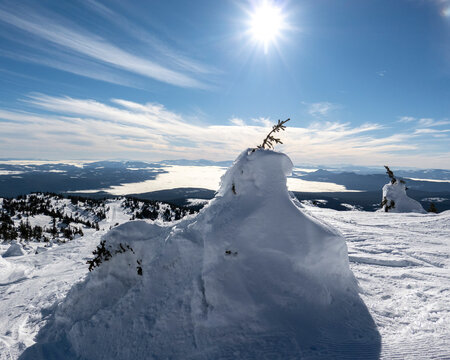 Snow-covered landscape with bright sun, clear sky, and mountains in the distance. Kootenay Boundary, British Columbia, Canada