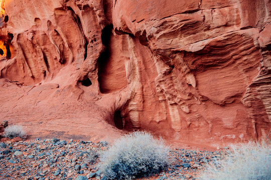Red rock formations with textured surfaces in a desert landscape with sparse vegetation. WA, USA