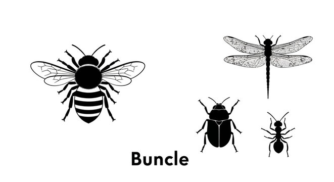 Insect Silhouettes: Bee, Dragonfly, Beetle, Ant - Vector Collection