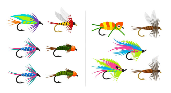 Colorful assortment of illustrated fishing flies on a white background