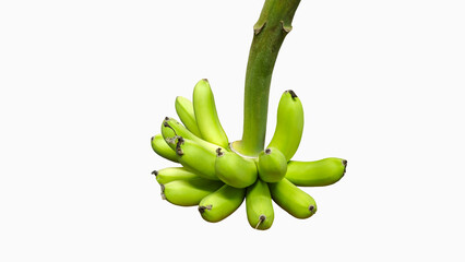 Bunch of raw green bananas (Musa sapientum) isolated on white background. © kanyakon