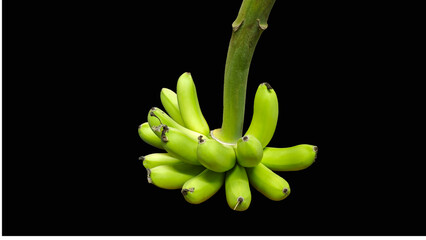 Bunch of raw green bananas (Musa sapientum) isolated on black background. © kanyakon