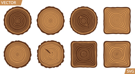 Tree Ring Cross-Sections: Round and Square Wood Slices Vector Set © Joni