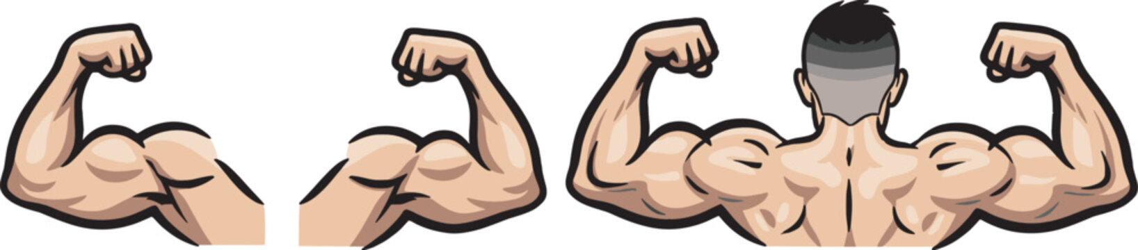 set of muscle and fitness icons, flexing arms and bodybuilding symbols, colored vector collection on transparent background