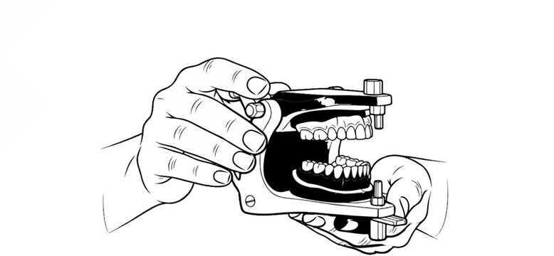 Hands holding a dental articulator with artificial teeth