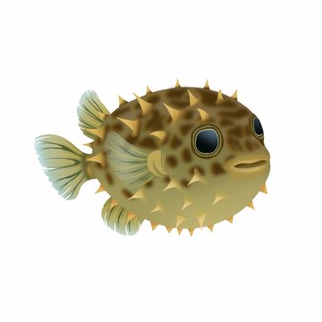 Hand drawn cute puffer fish illustration clipart isolated on white background