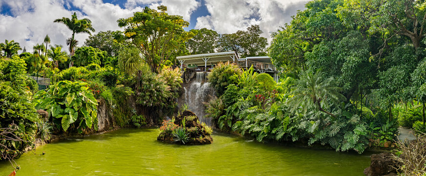 Panoramic view of Waterfall Le Cascade in Botanical Garden Jardin Botanique in Deshaies (Caribbean island Guadeloupe) 
