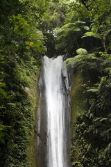 Obraz premium waterfall in the forest