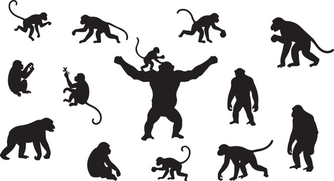 Primate and Monkey Action Silhouette Vector Set