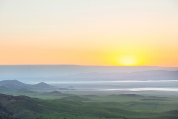 Naklejka premium Carrizo