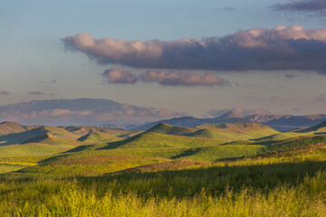 Naklejka premium Carrizo