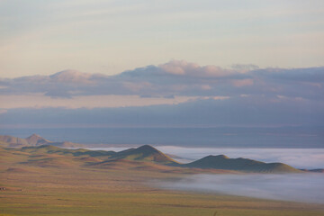 Naklejka premium Carrizo