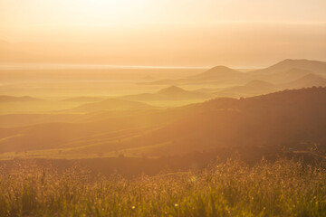 Naklejka premium Sunny meadow