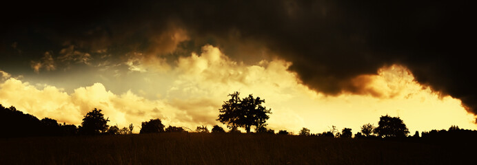 Naklejka premium Silhouettes of trees on the horizon against a very dramatic yellow and dark sky. Rural panoramic landscape with high contrast.