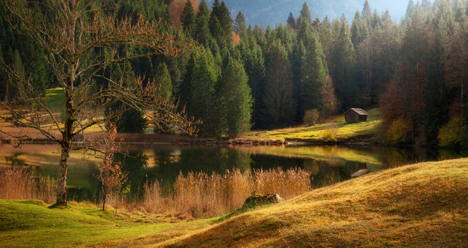 Painterly landscape at a lake in the German Alps, with evergreen trees, gentle sunlight and autumn colors in the vegetation