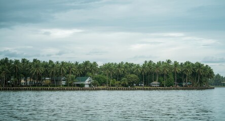Fototapeta premium green palm trees bordering a calm skyline scene