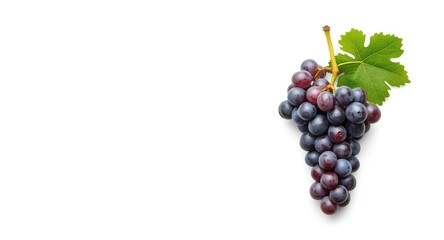 Naklejka premium Organic vine grapes isolated on a bright white backdrop with copy space