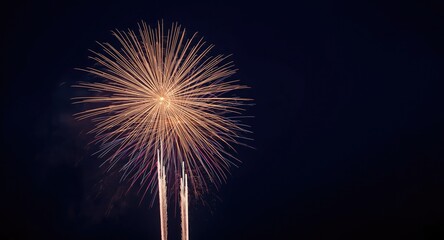 Obraz premium New Years Eve fireworks lighting up the dark blue night sky with festive brilliance