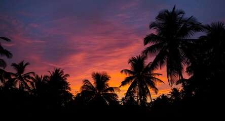 Obraz premium Serene tropical sunset scene with palm tree silhouettes and vibrant sky for vacation relaxation