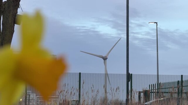 Blurred yellow flower near turning windmill detail