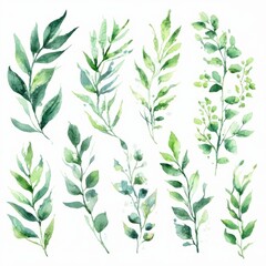 Fototapeta premium watercolor Seamless vintage floral pattern vector illustration featuring green leaves and spring flower ornaments for nature textile wallpaper design