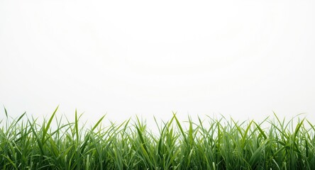 Fototapeta premium Renewable energy project highlighting supply chain responsibility and sustainability