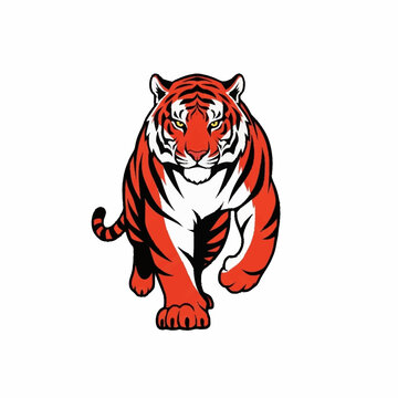 Powerful and Majestic Tiger Walking Forward with Intense Gaze.