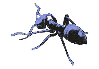 Ant made of dotted particles isolated on transparent background in abstract graphic design © swillklitch