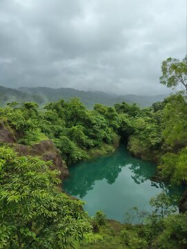 Beautiful close-up view of the arambol dam, located in arambol, goa, india. It is a scenic freshwater green valley. The area is a famous tourist and tourism place to attraction its natural beauty.