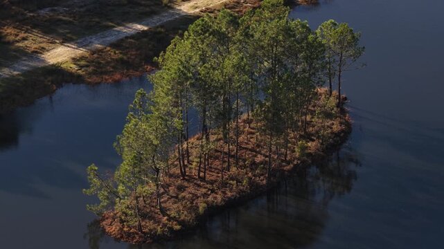 Ile sur Etang de p&ecirc;che &agrave; Blagon, Lanton, au milieu d'une for&ecirc;t, Bassin d'Arcachon, France, Gironde, Nouvelle-Aquitaine