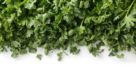 Fototapeta premium Heap of vibrant green vegetables showcased on a white background