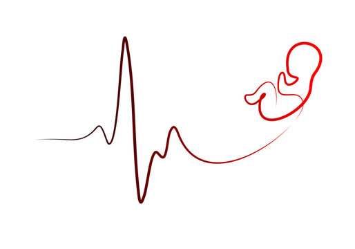 Interrupted pregnancy and abortion choice concept broken heartbeat line fetus vector