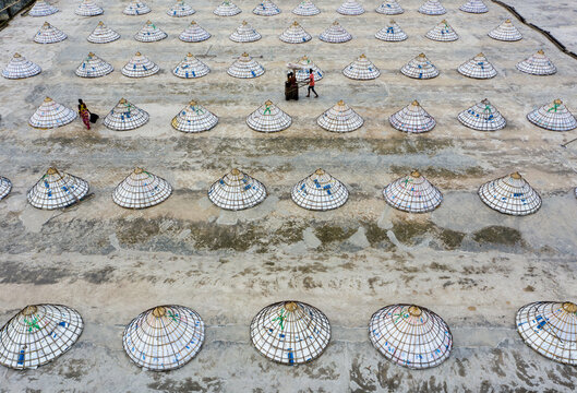 Aerial view of farmers tending to neatly arranged traditional conical hats drying in the sun, Brahmanbaria, Chittagong Division, Bangladesh.