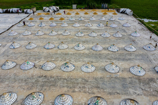 Aerial view of farmers drying grains under the sun, the geometric pattern of conical hats creating a mesmerizing texture, Brahmanbaria, Chittagong Division, Bangladesh.