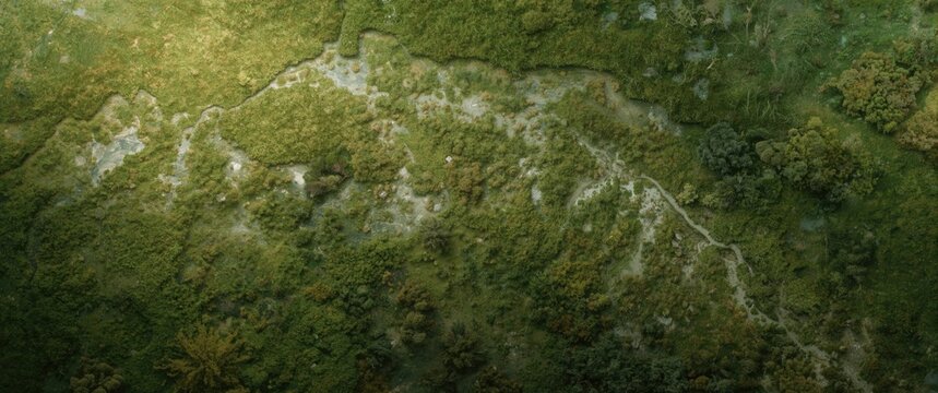 natural terrain texture featuring open environment copy space