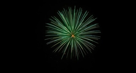 Fototapeta premium Bright green fireworks bursting against a dark night sky with ample copy space
