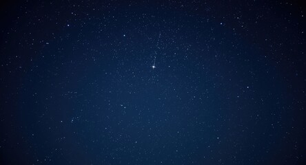 Fototapeta premium A single shooting star blazing through a brilliantly lit starry sky